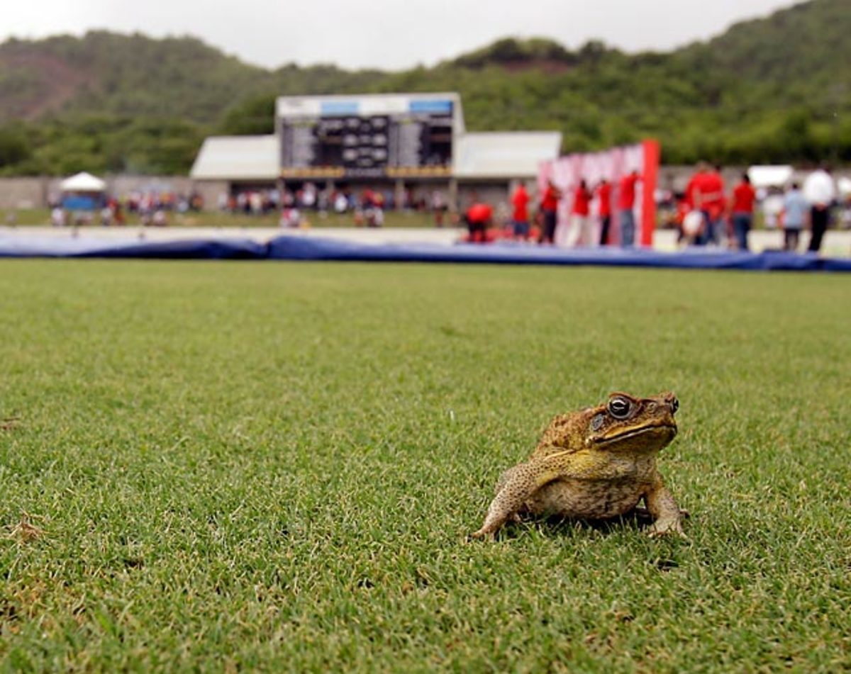 130515145208-toad-single-image-cut.jpg