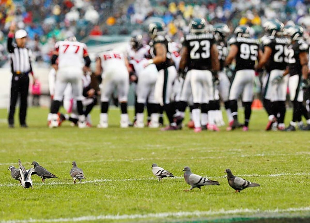 130515145031-falcons-eagles-single-image-cut.jpg