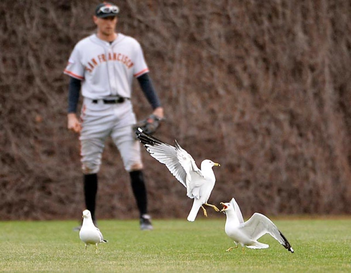 130515145036-hunter-pence-single-image-cut.jpg