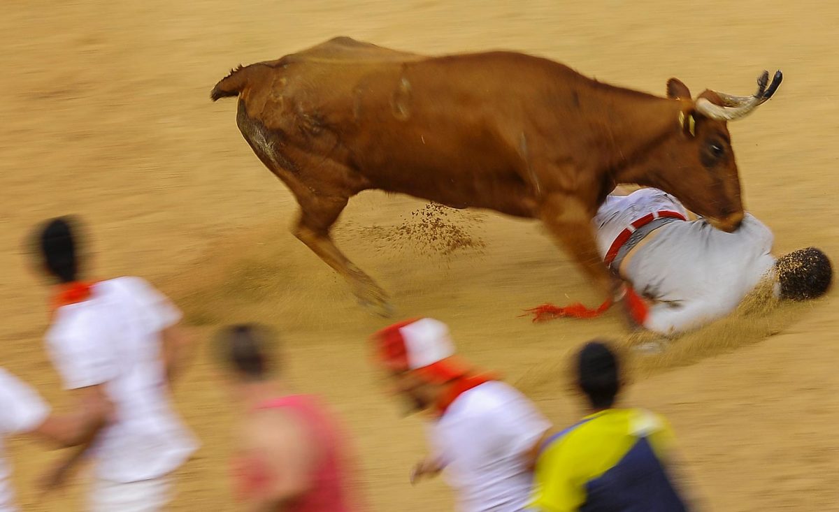 running-of-the-bulls-66255de066e73e5-0.jpg
