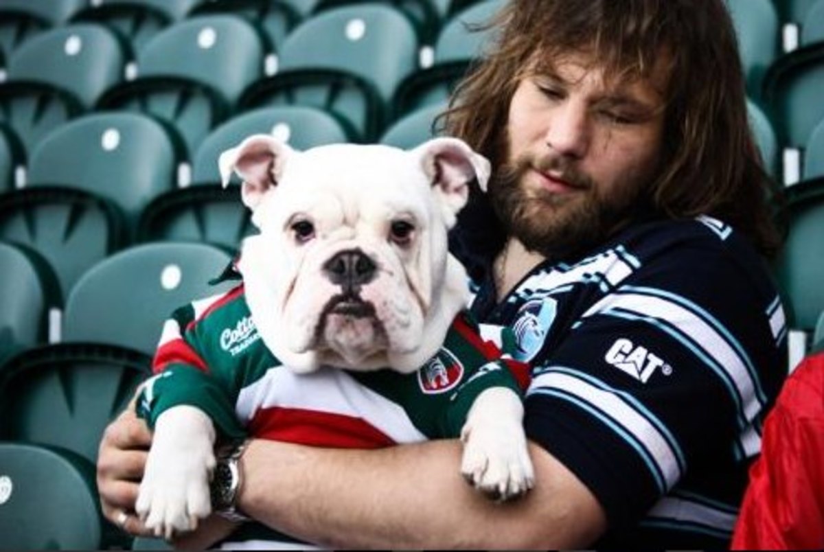 Six-Nations-rugby-italy-dog-bite.jpg
