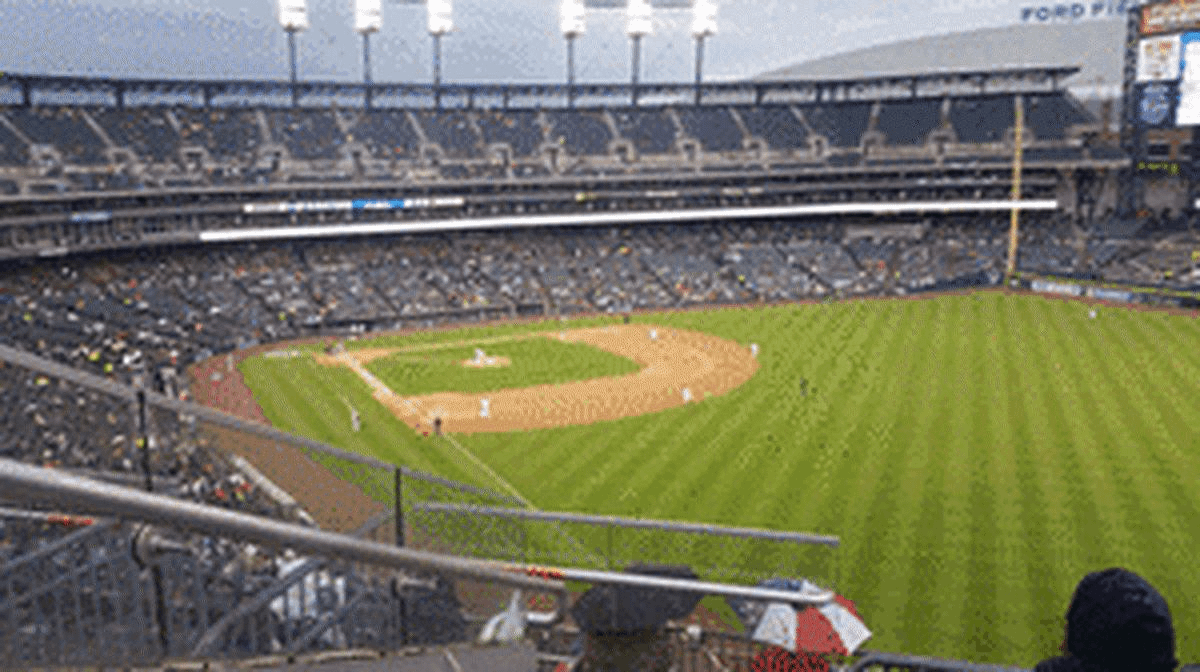 tigers fan comerica park