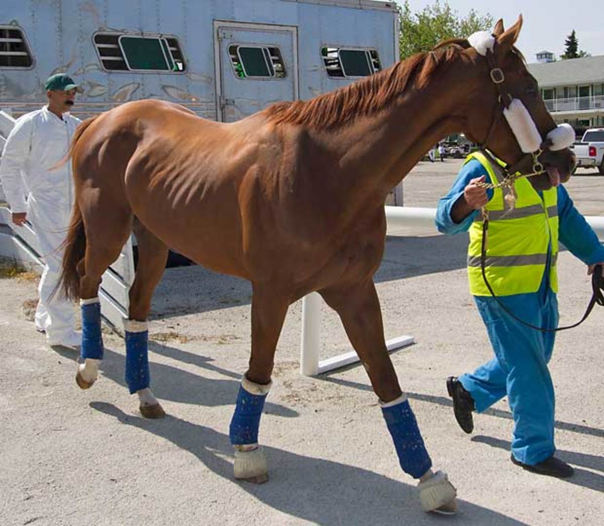 California Chrome looked alarmingly thin after his trip from England to Arlington Park on July 7.