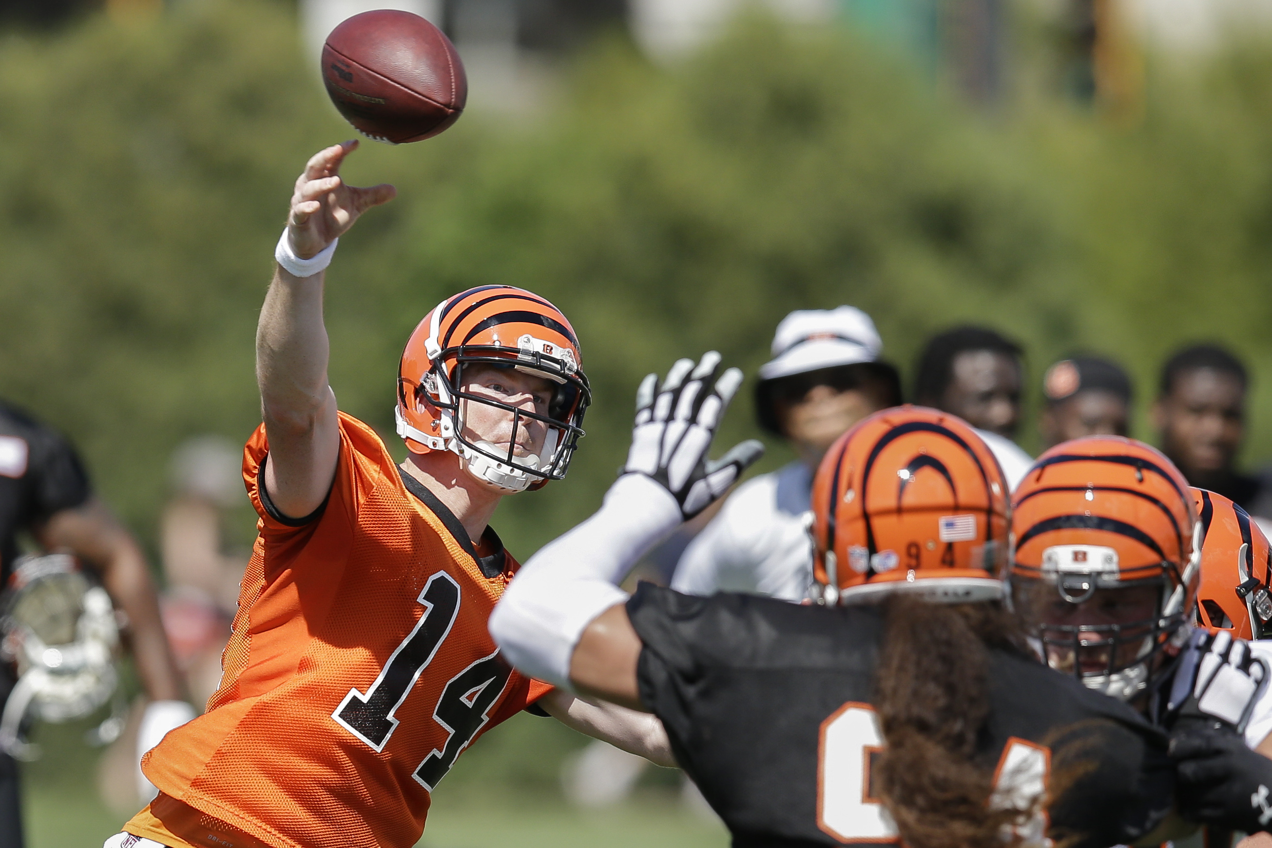 Bengals hope upgraded defensive line produces some sacks Sports