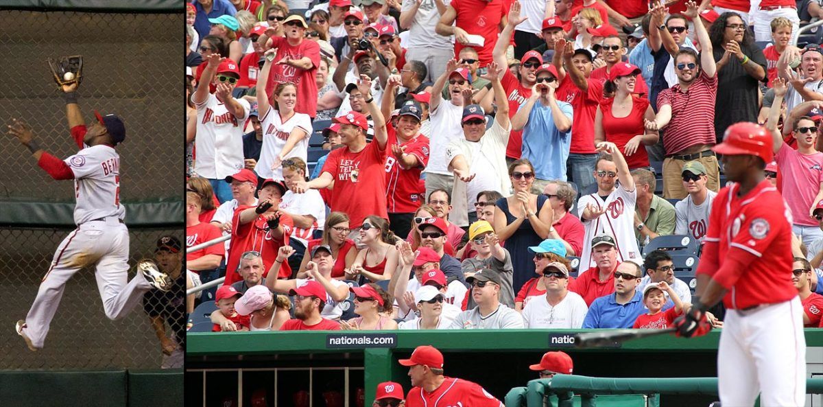 roger-bernadina-the-shark-fans.jpg