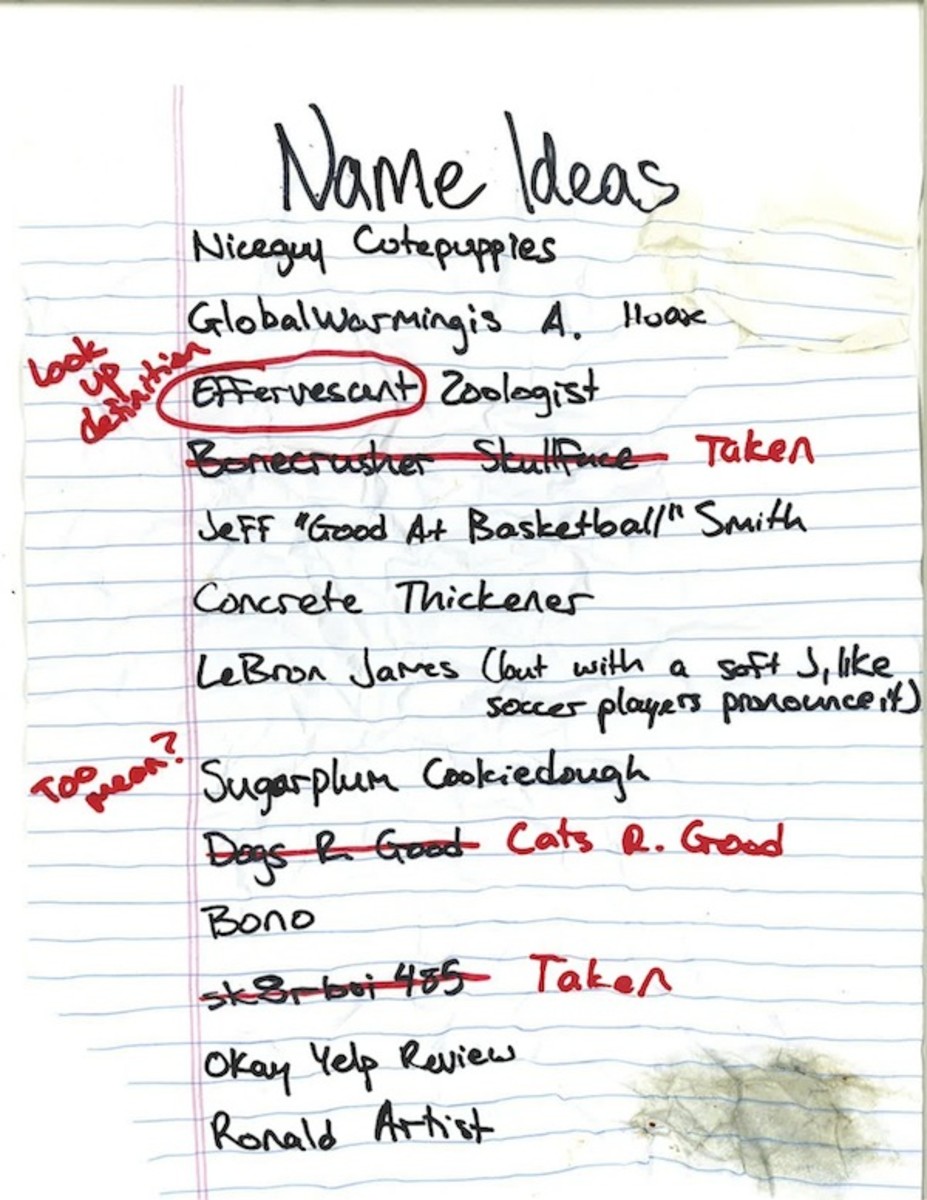 METTA WORLD PEACE NAMES.jpg