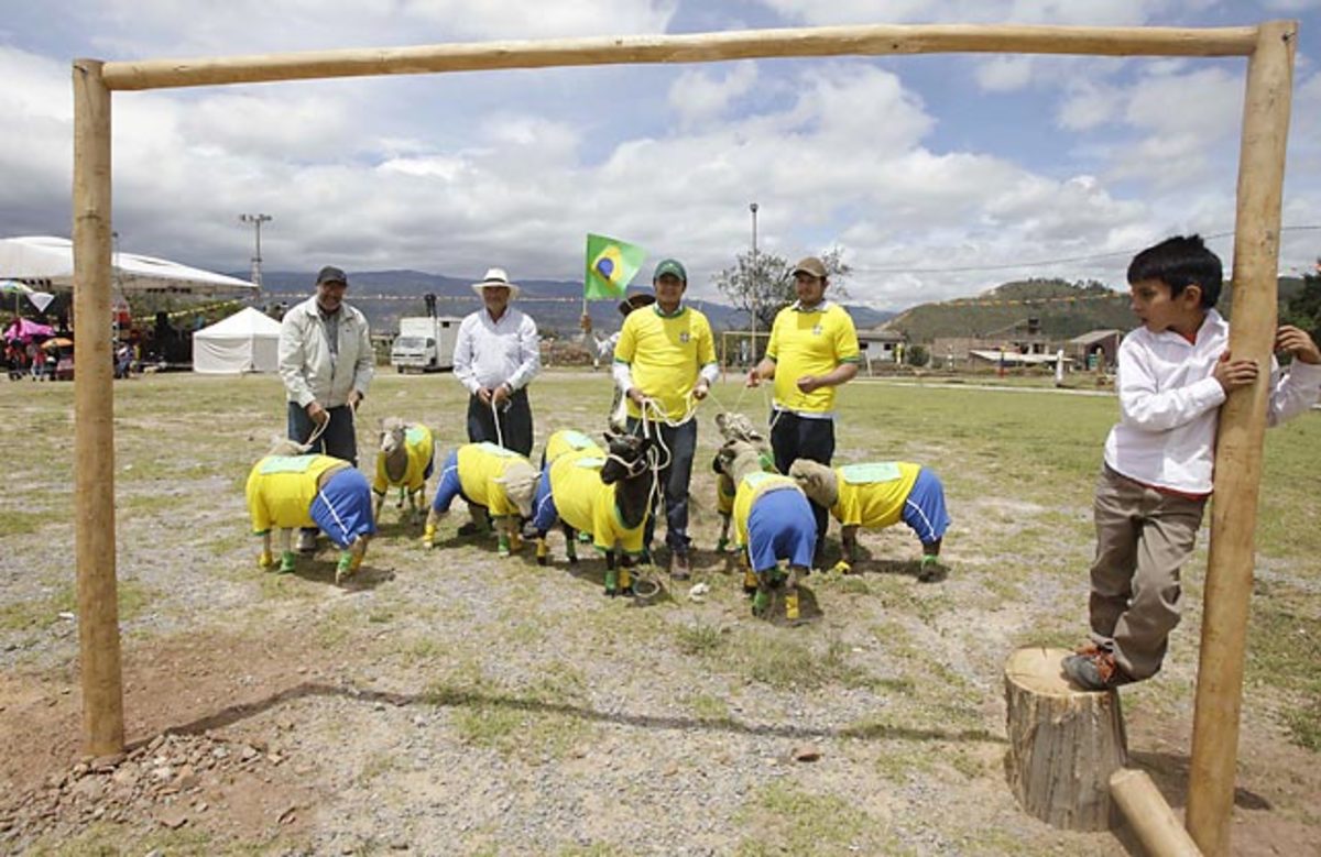 140609103438-brazil-sheep-soccer-0-single-image-cut.jpg