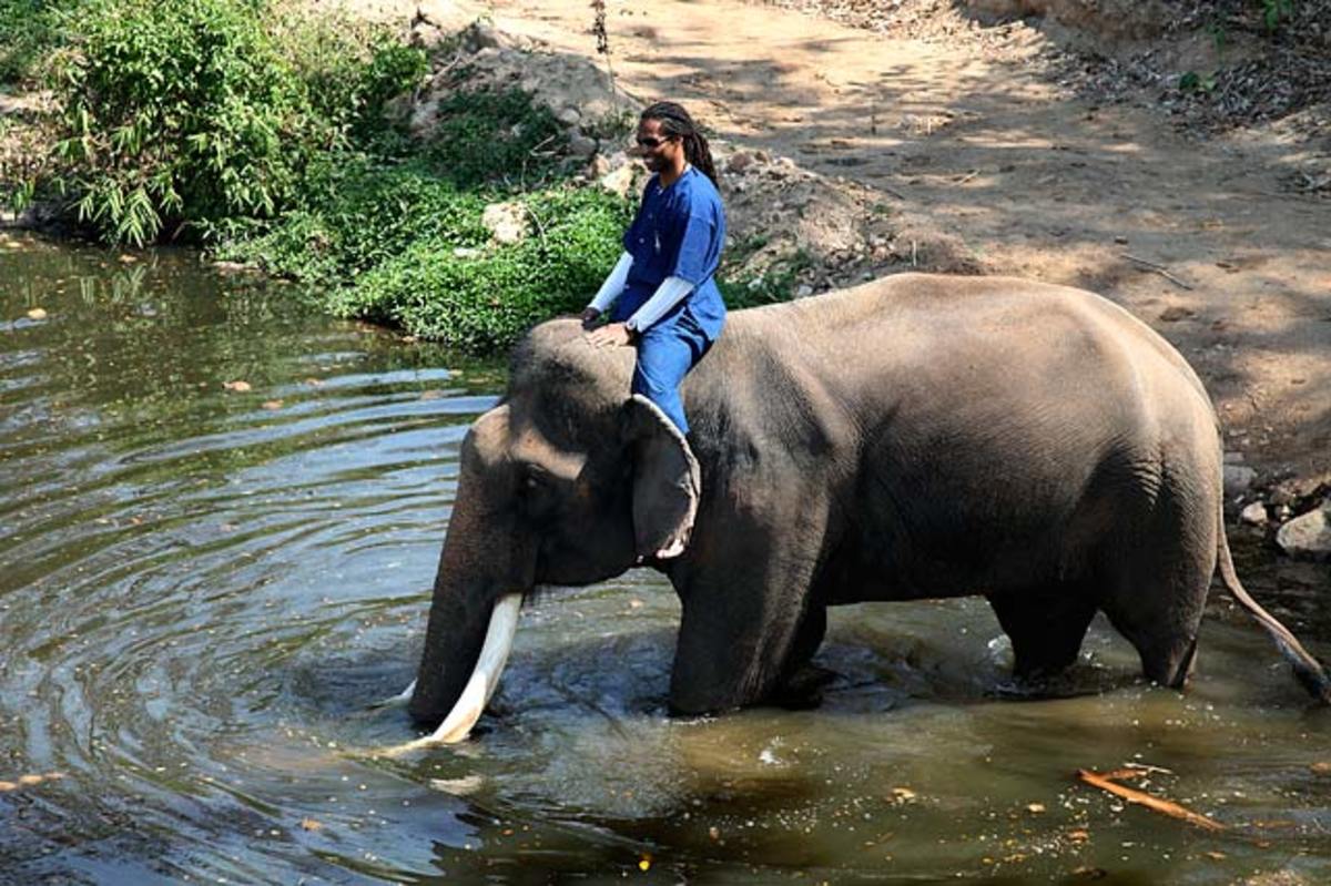 larry-fitzgerald-thailand-2012-elephant.jpg