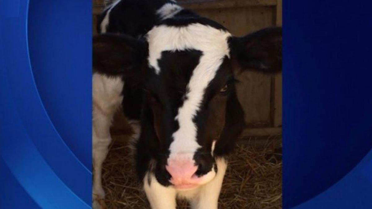 Image placeholder title