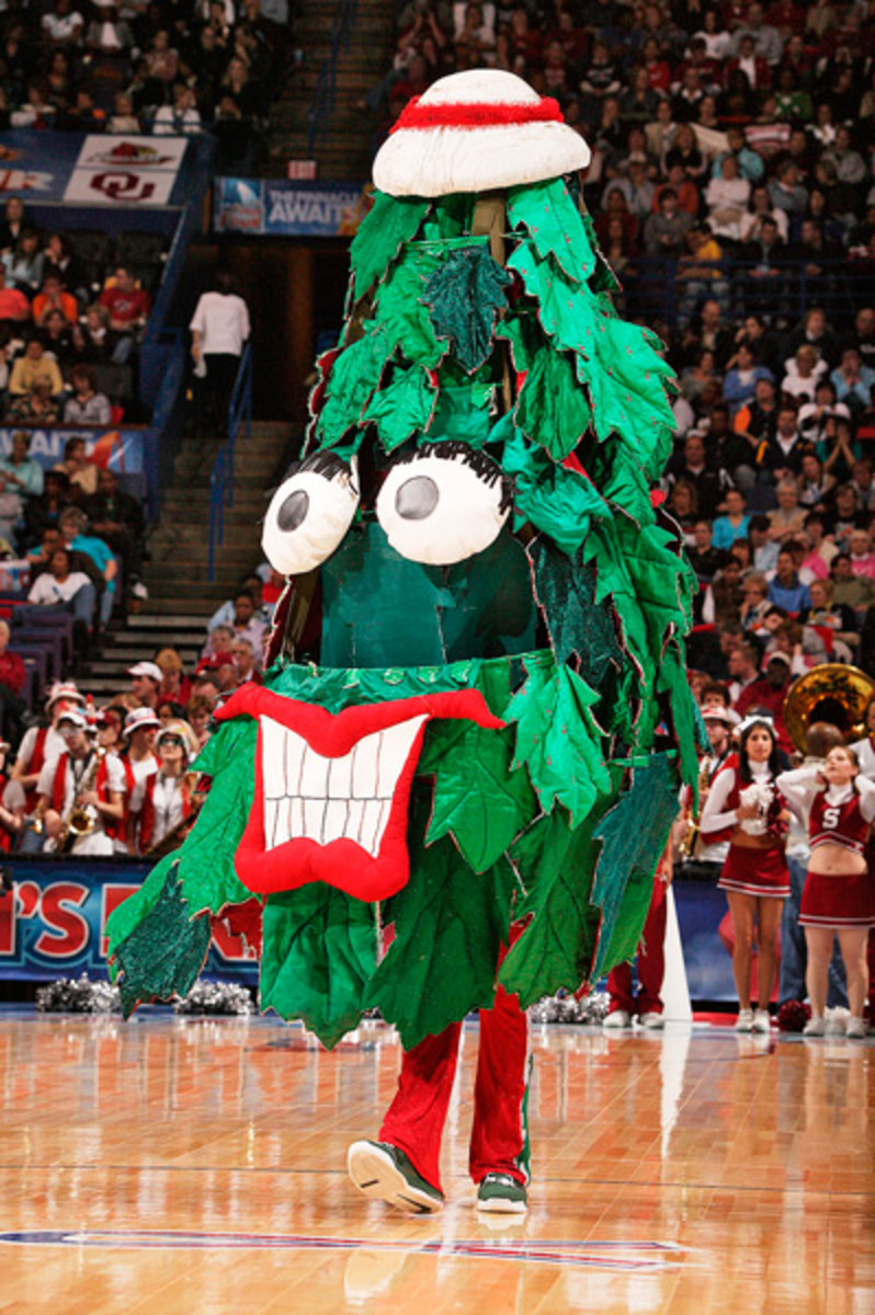 stanford-tree8.jpg