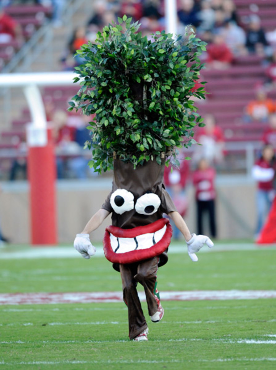 stanford-tree7.jpg