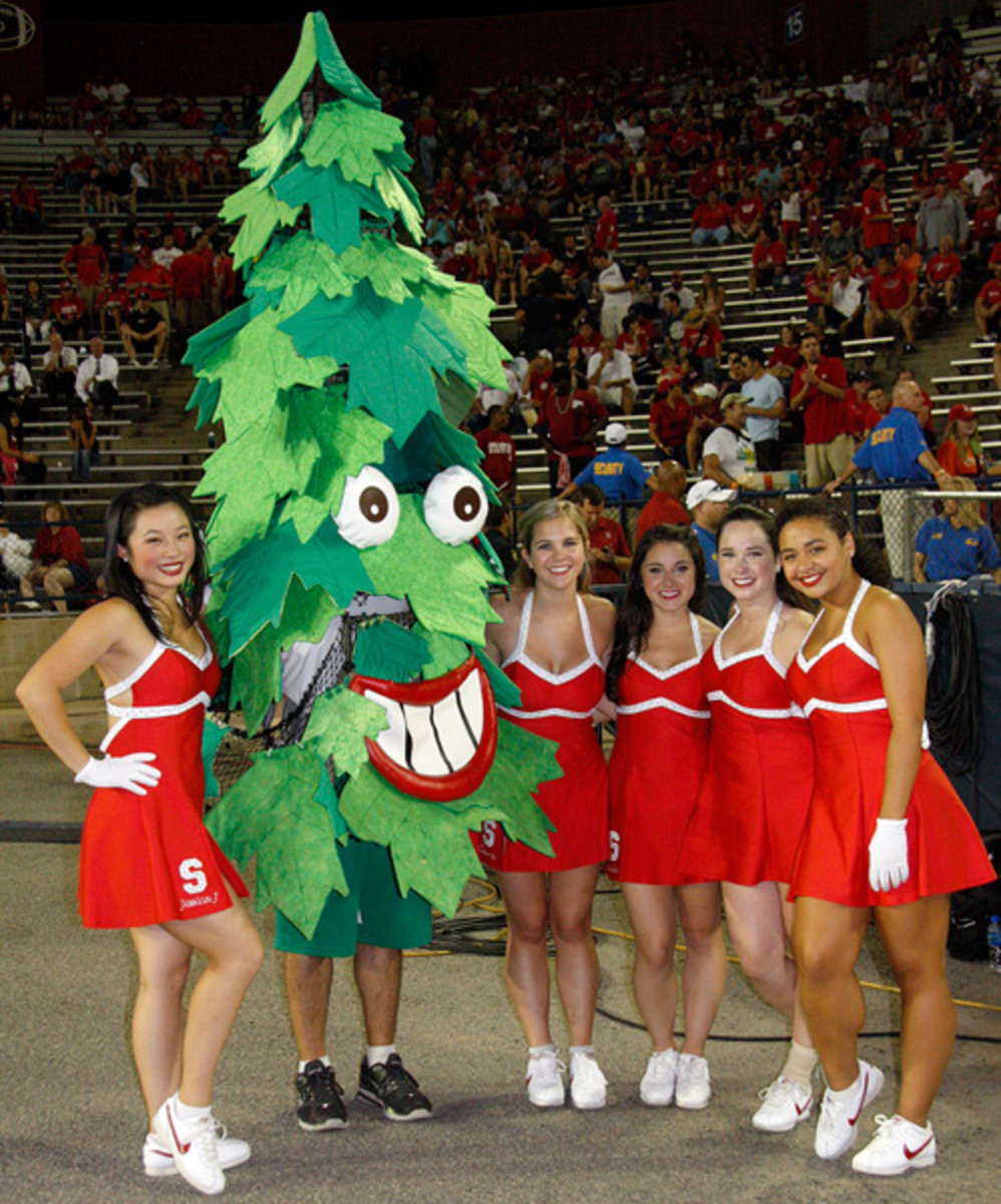 stanford-tree.jpg