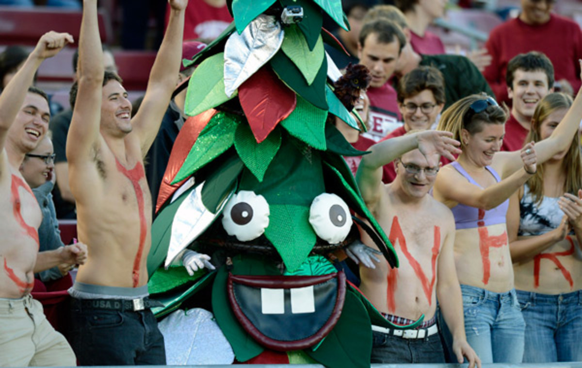 stanford-tree6.jpg