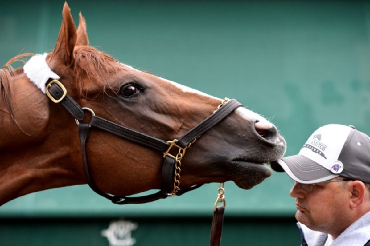 California Chrome (Patrick Smith/Getty Images)