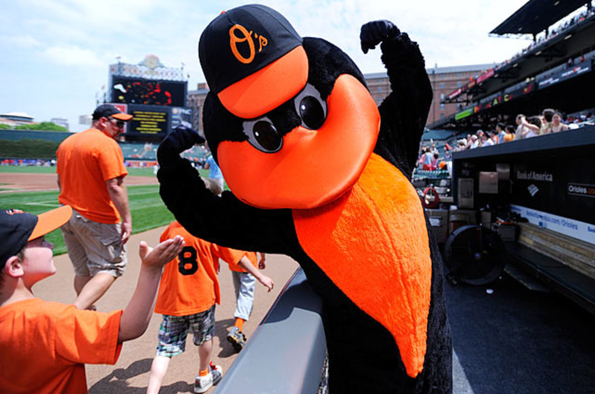 The Oriole Bird