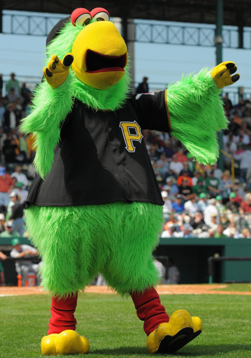 Pirate Parrot