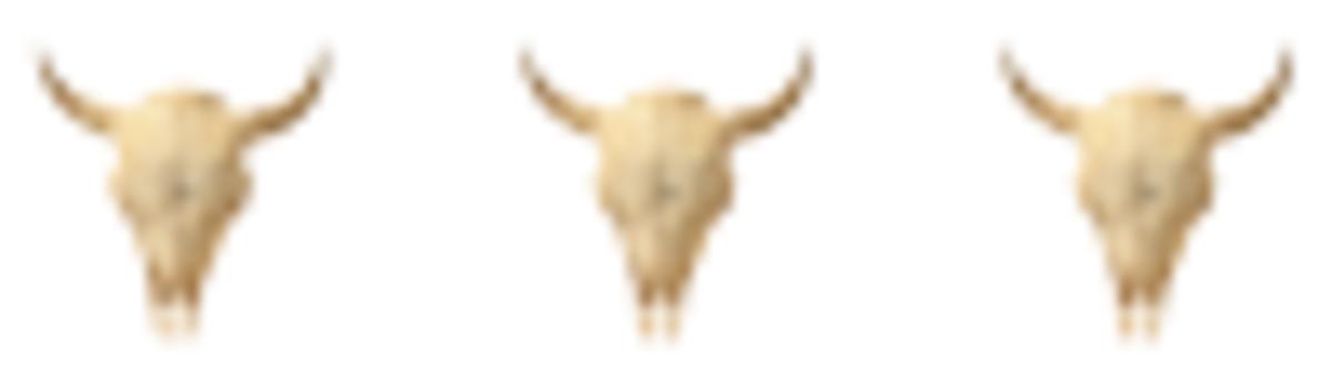 transparent-skulls-100