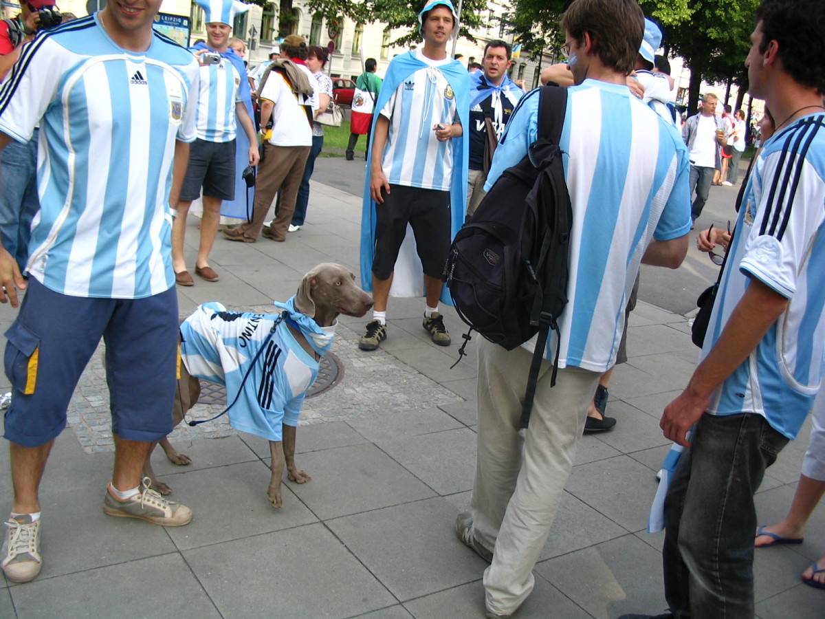 The scene at the 2006 World Cup in Germany