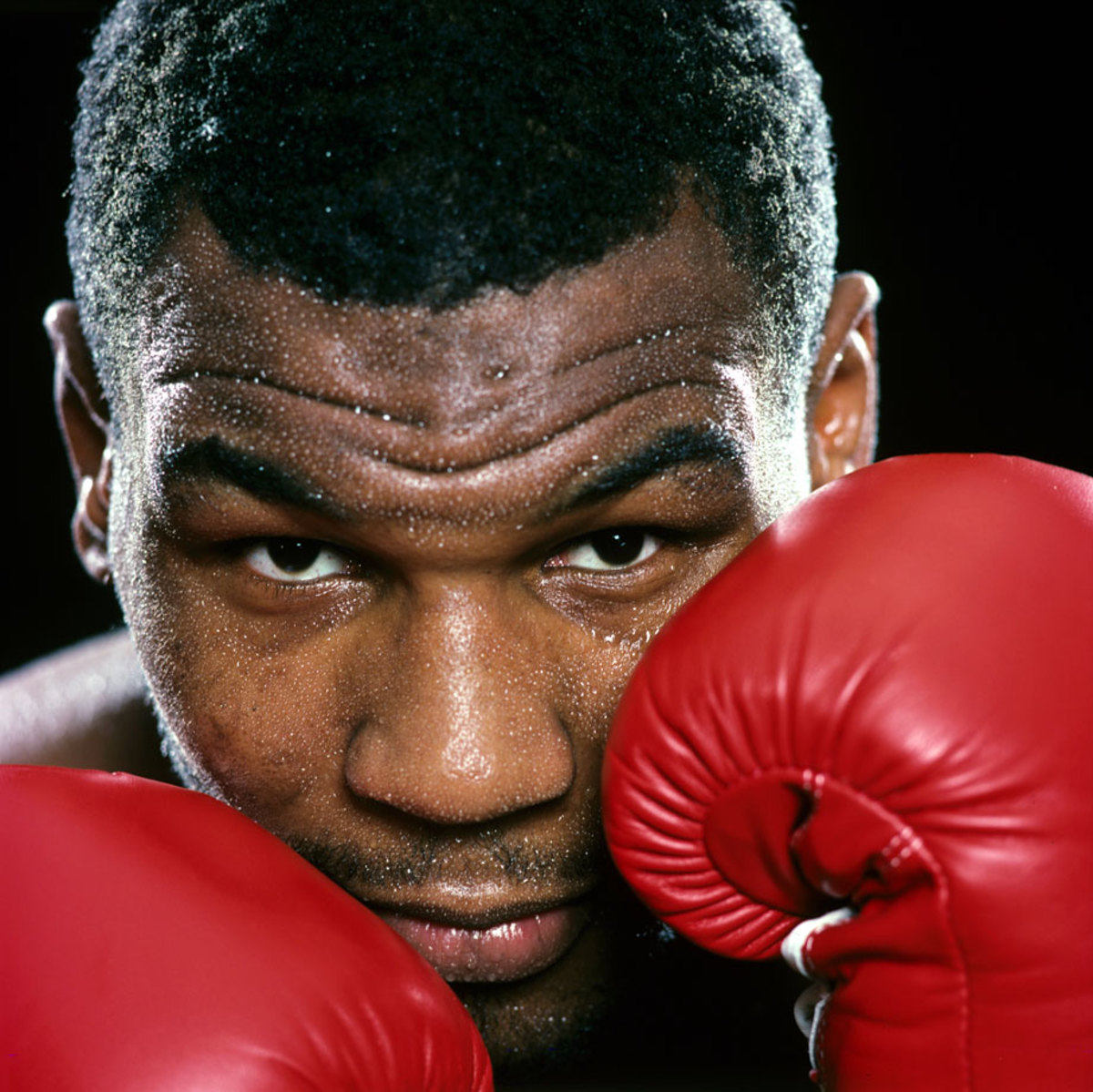Mike Tyson Wallpaper  Mike tyson Boxing posters Mike tyson boxing