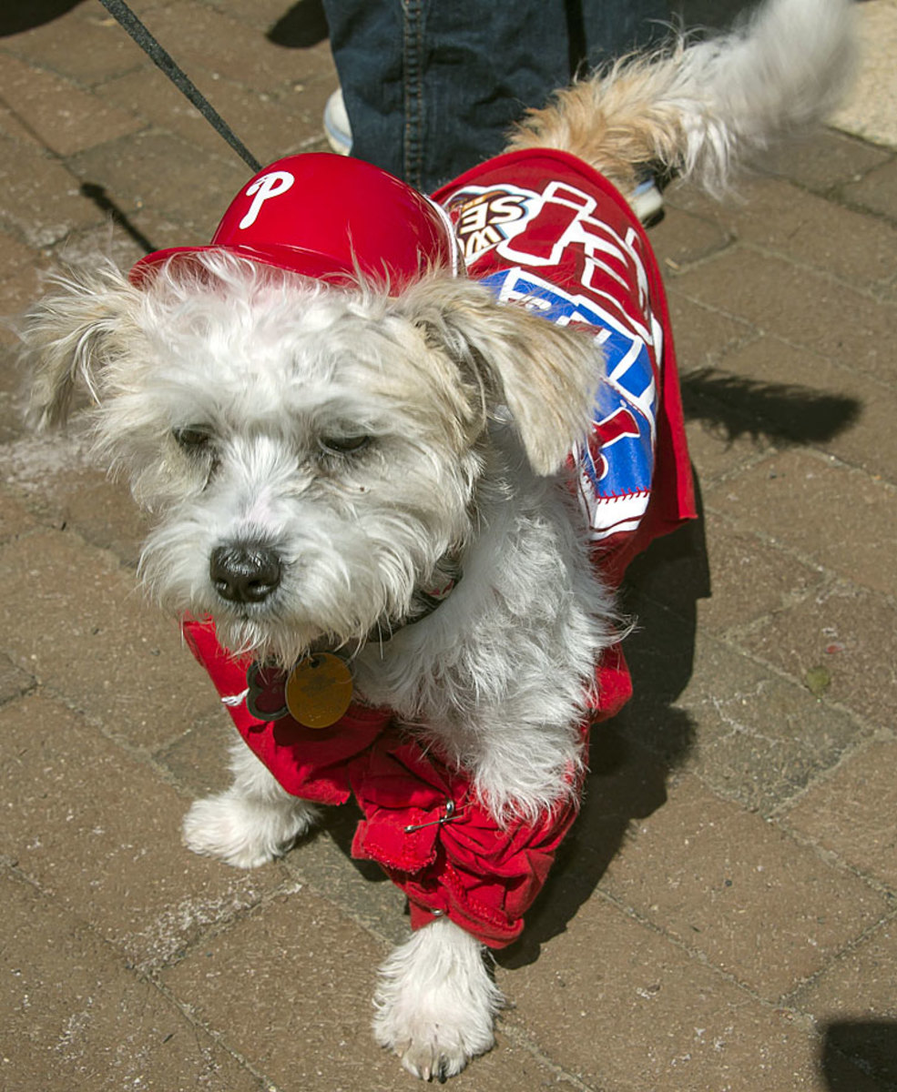 philadelphia-phillies-pup-rally-dog(4).jpg