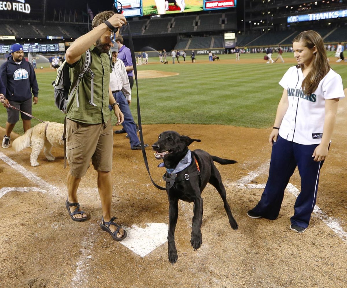 seattle-mariners-bark-in-the-park-dog.jpg