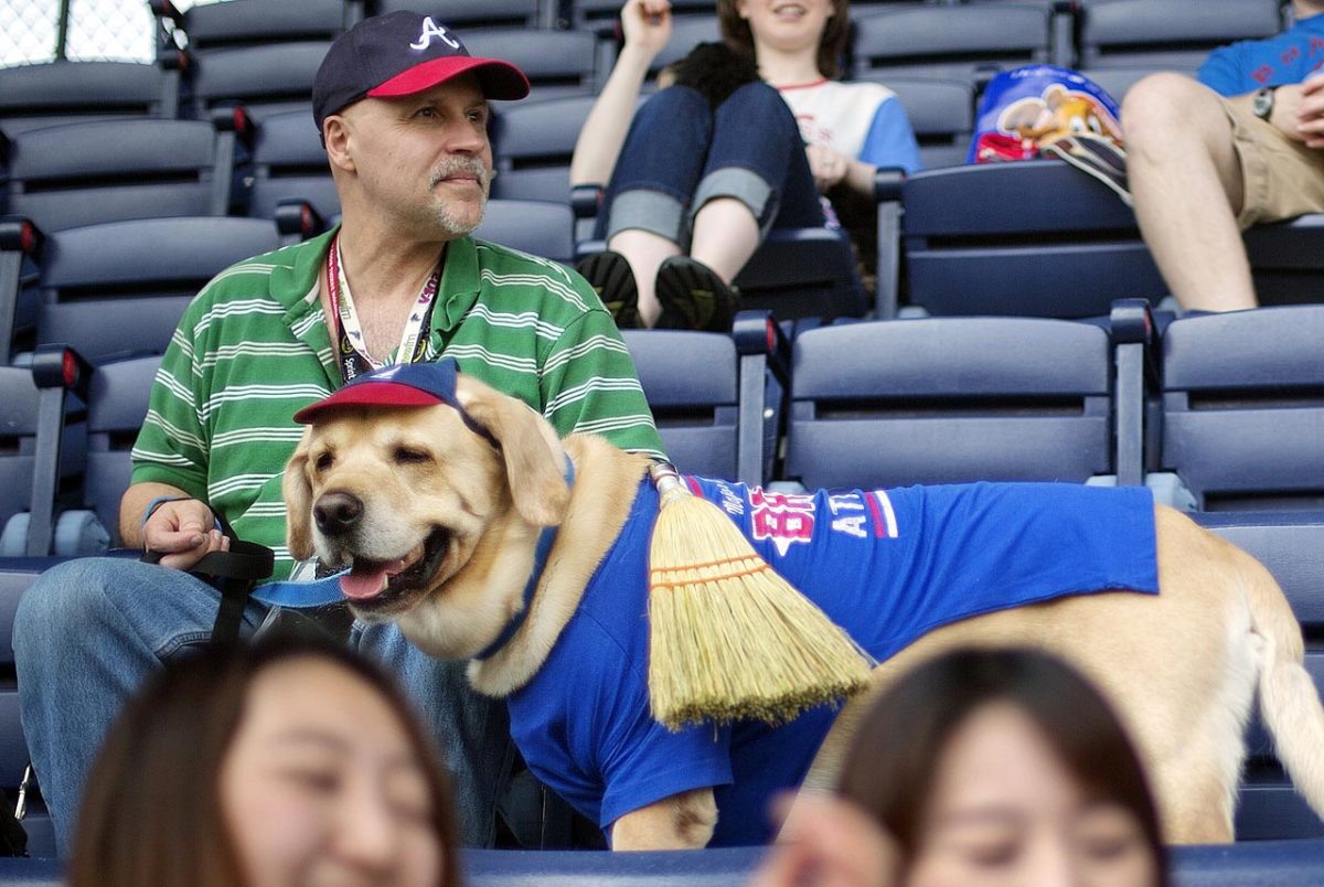 Ballpark Dogs Sports Illustrated