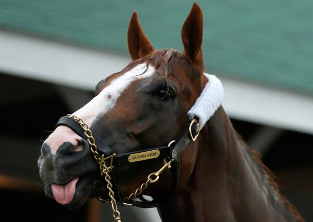 Favored to win 2-1, California Chrome was the horse to beat.