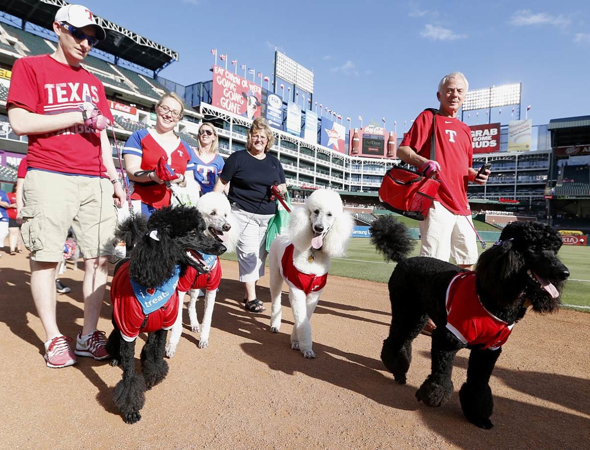 texas-rangers-bark-at-the-park--dogs.jpg