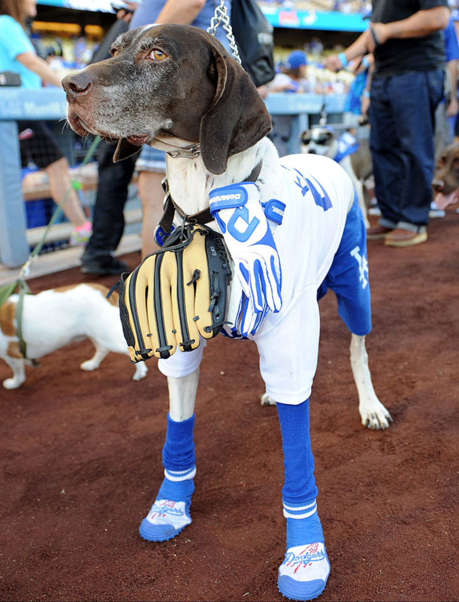 los-angeles-dodgers-ballpark-dog-0071408231338_Mets_at_Dodgers_0.jpg