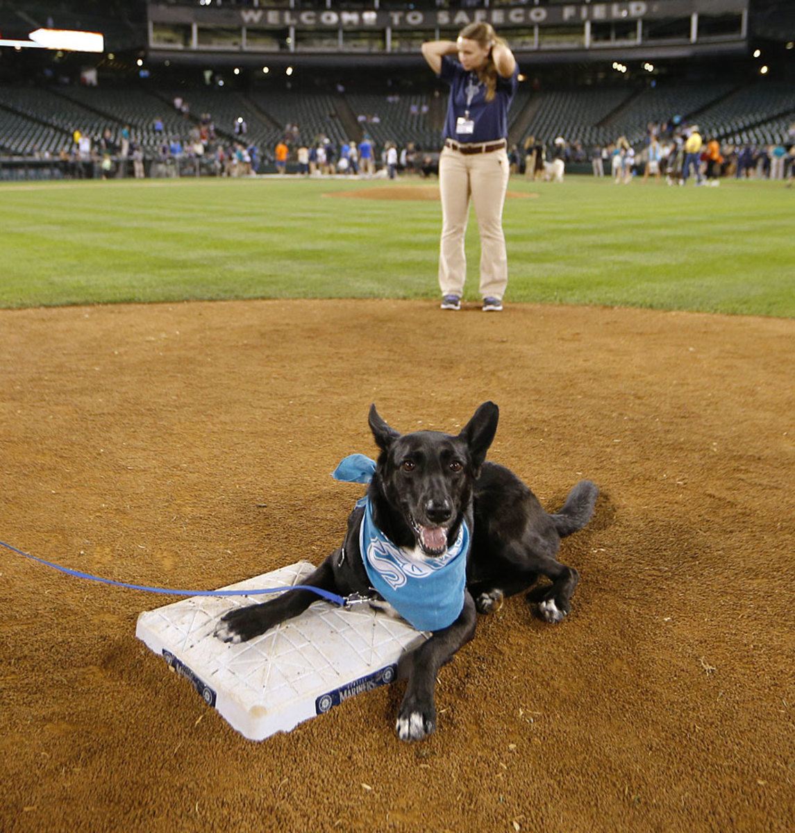 seattle-mariners-bark-in-the-park-dog(2).jpg