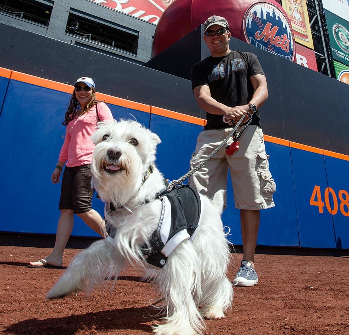 new-york-mets-bark-in-the-park-dog(3).jpg