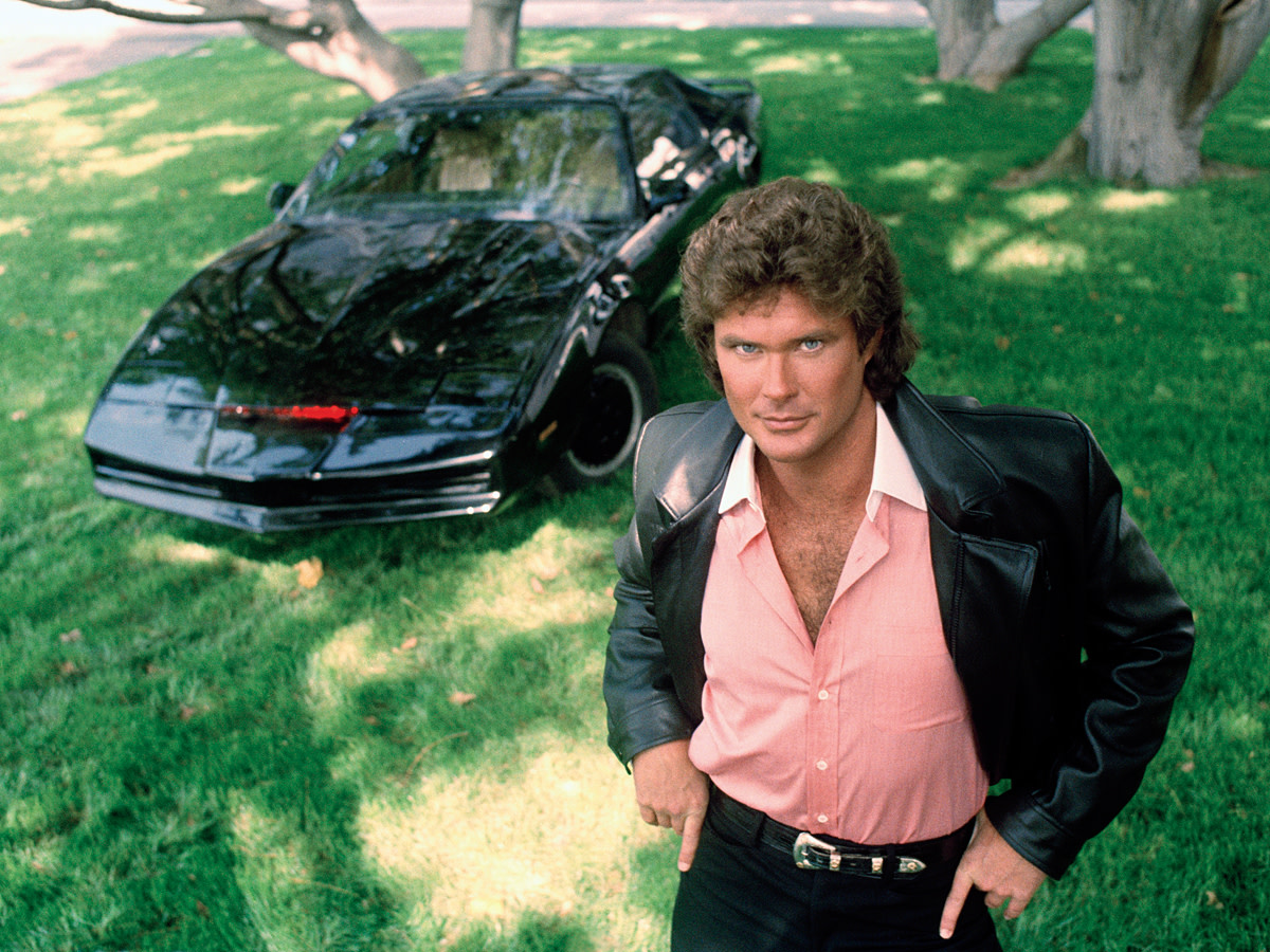 david-hasselhoff13.jpg