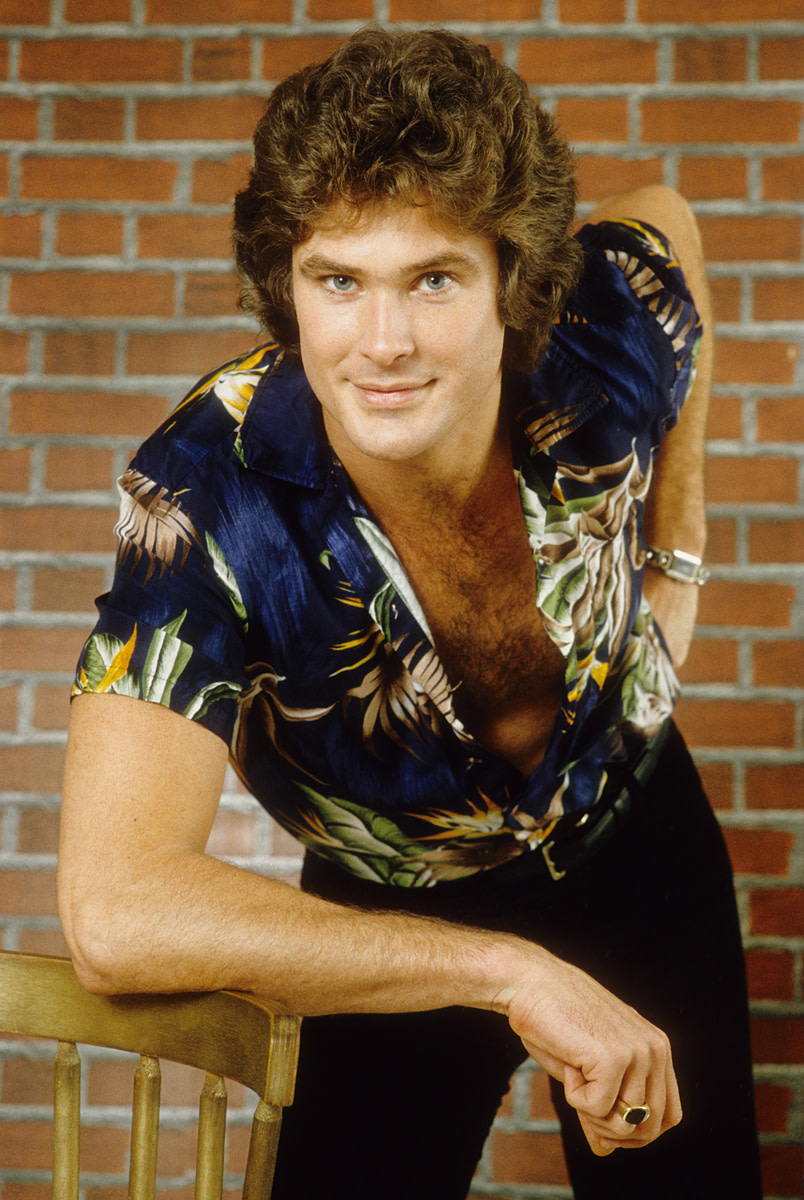 david-hasselhoff4.jpg