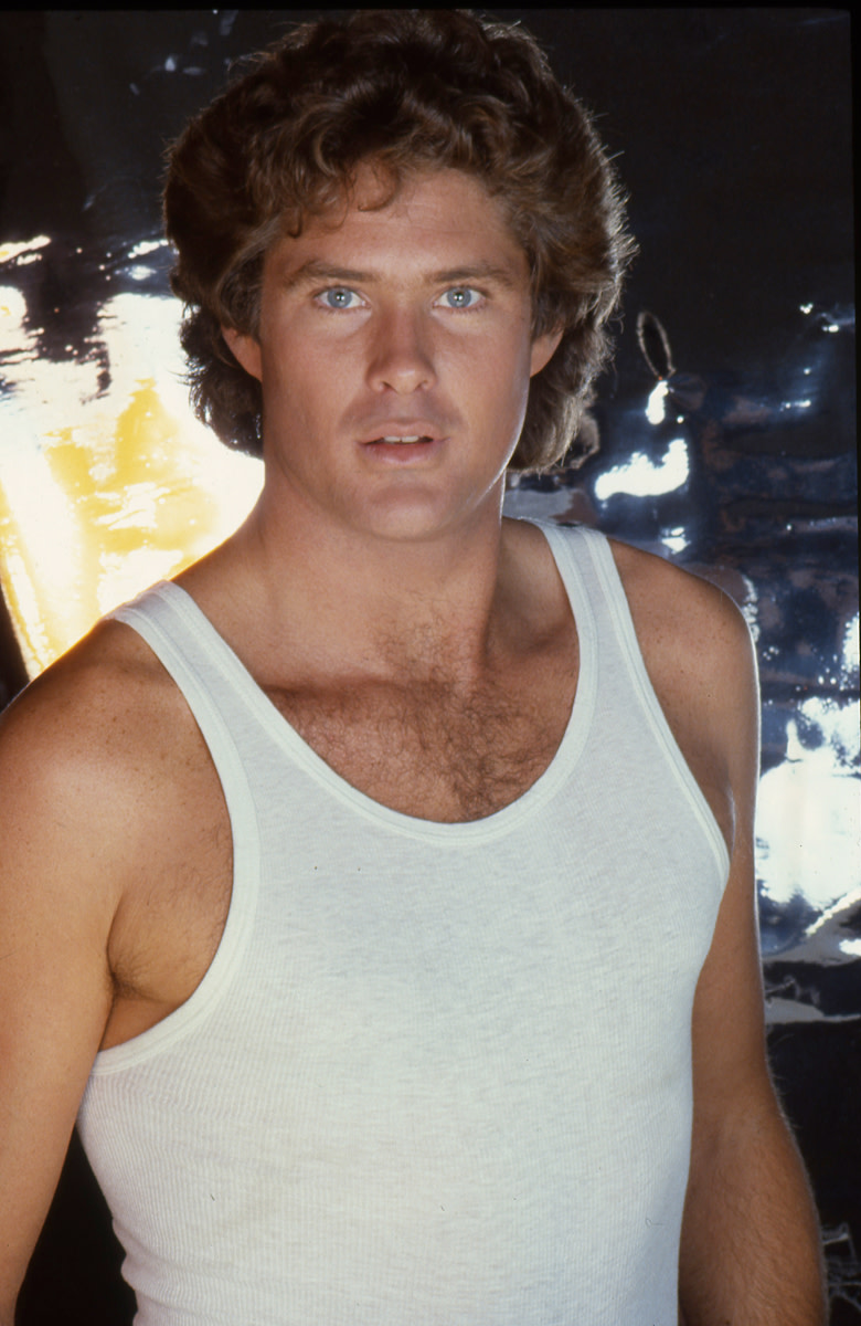 david-hasselhoff8.jpg