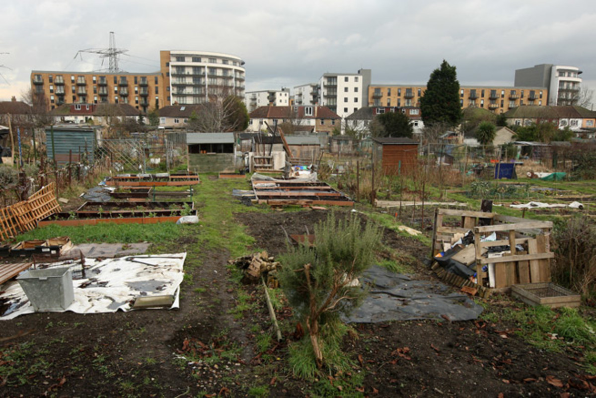 A residential development now covers where Wimbledon FC's home stadium, Plough Lane, used to stand.