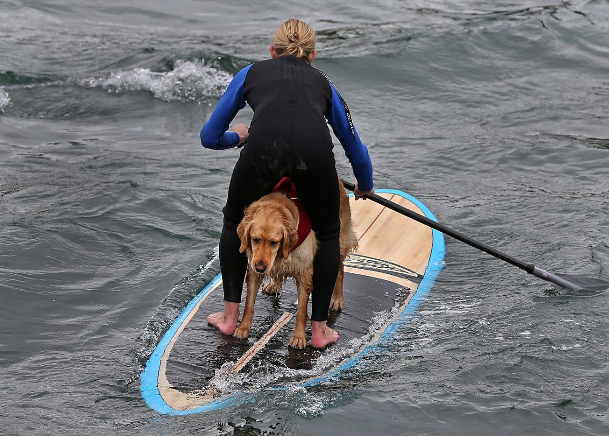 paddle-boarding.jpg