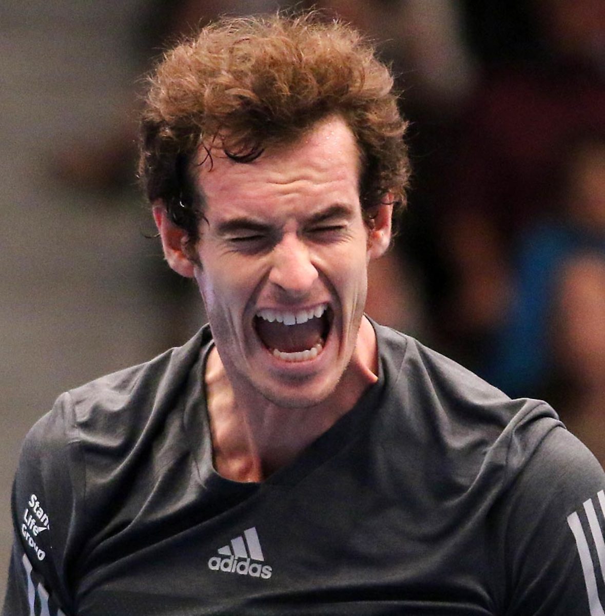 andy-murray-0.jpg