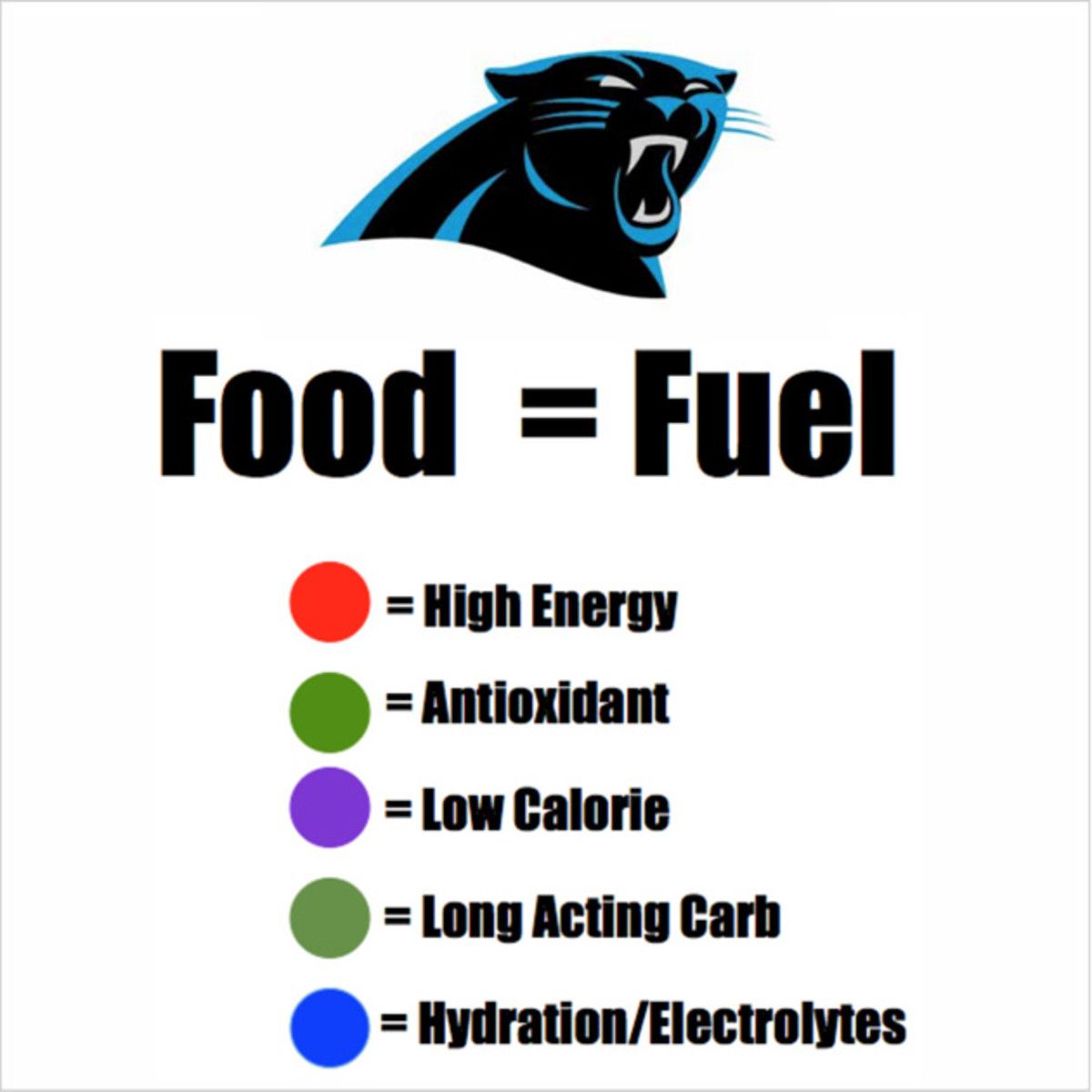 panthersfuel.jpg