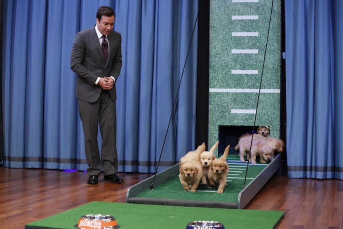 Jimmy Fallon Puppies Super Bowl.jpg
