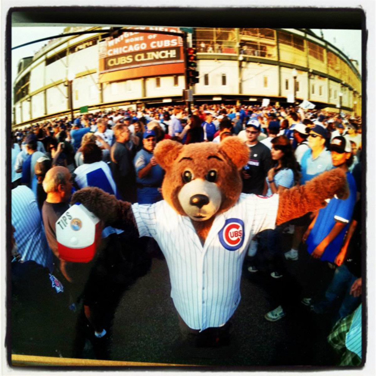 clark the cub deadspin
