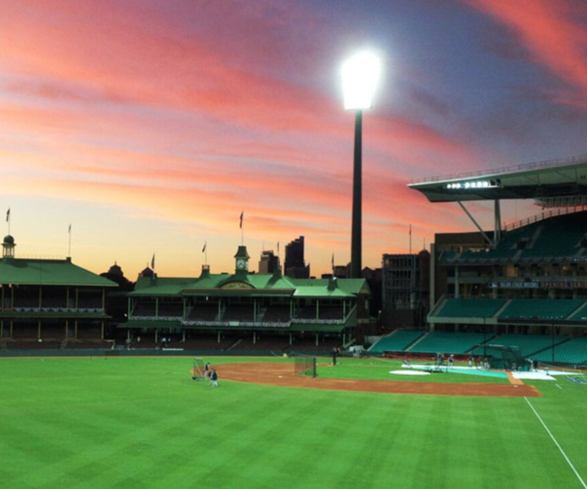 Photo courtesy of Murray Cook.