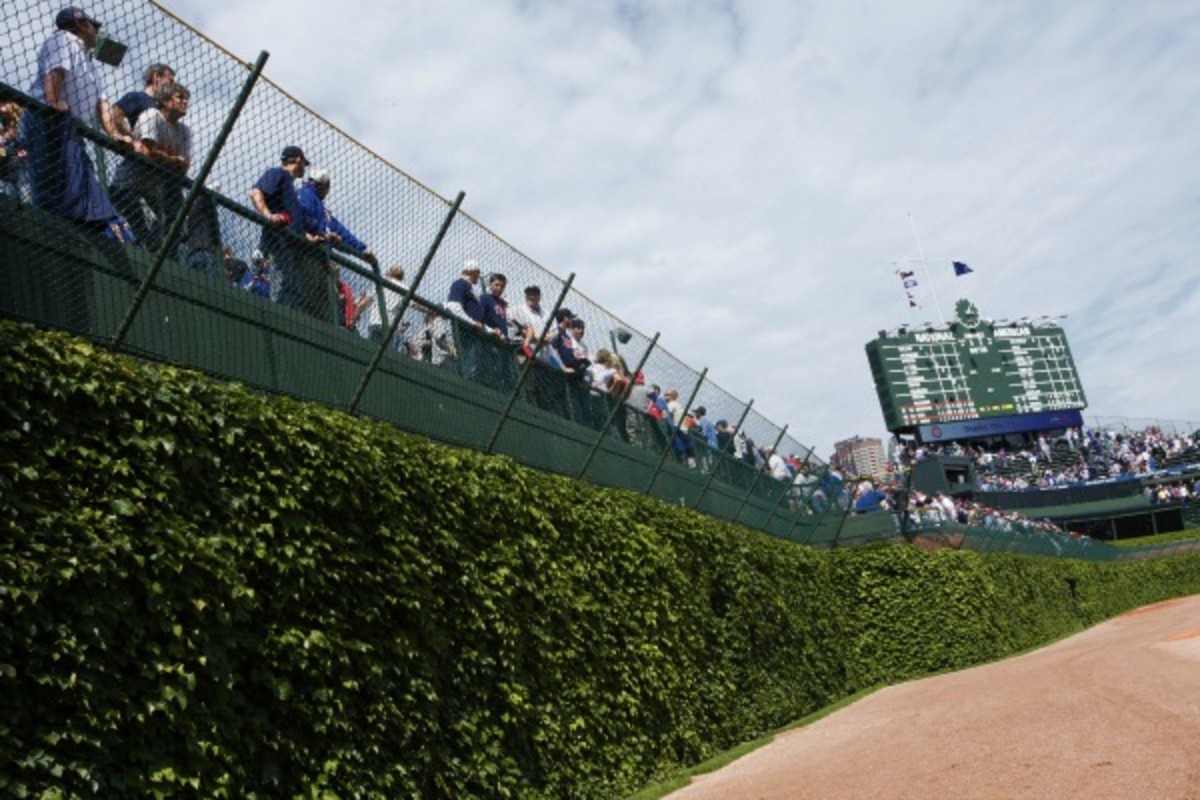Two men were arrested attempting to steal ivy from Wrigley Field's walls. (Joe Robbins/Getty Images)