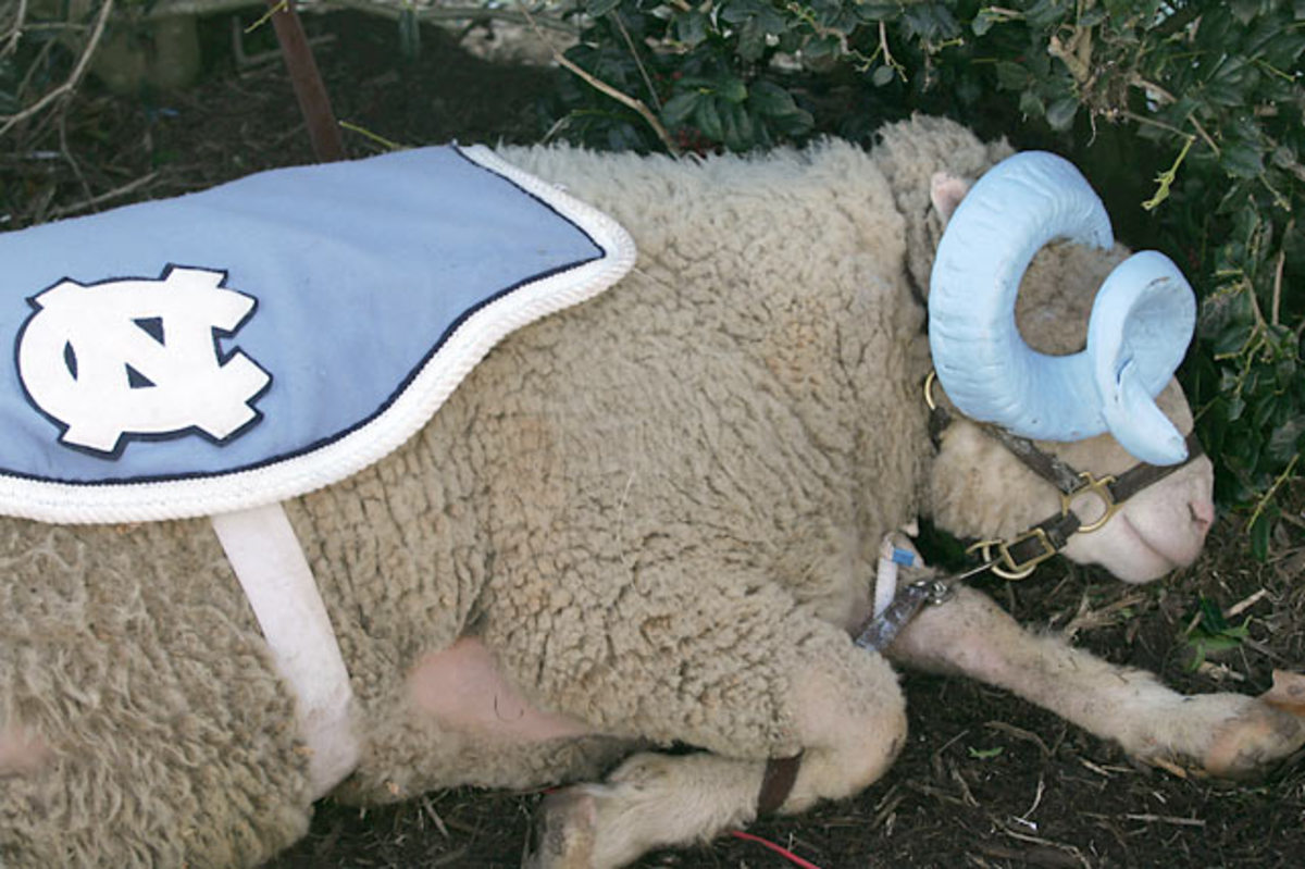 Rameses