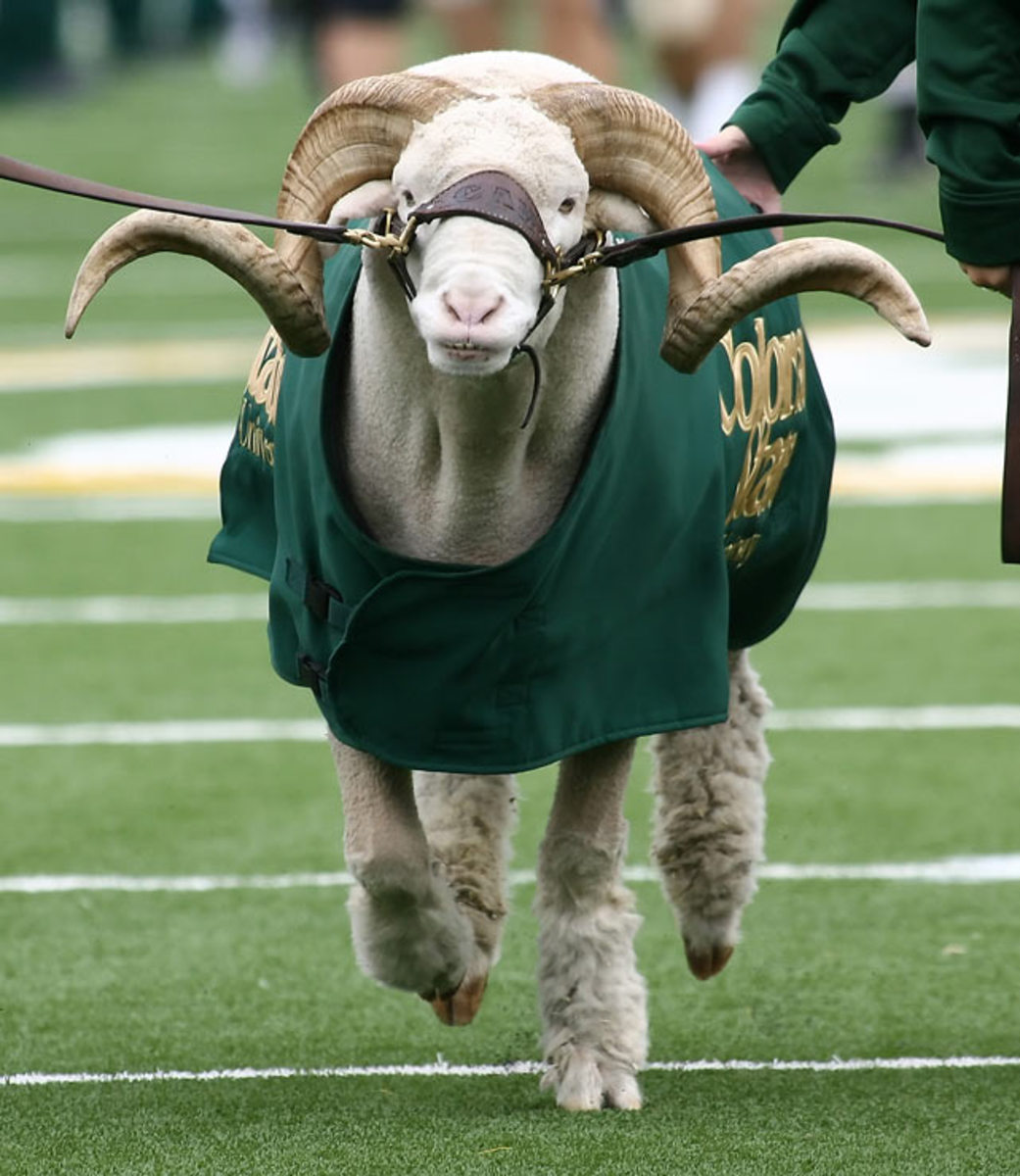 Cam The Ram