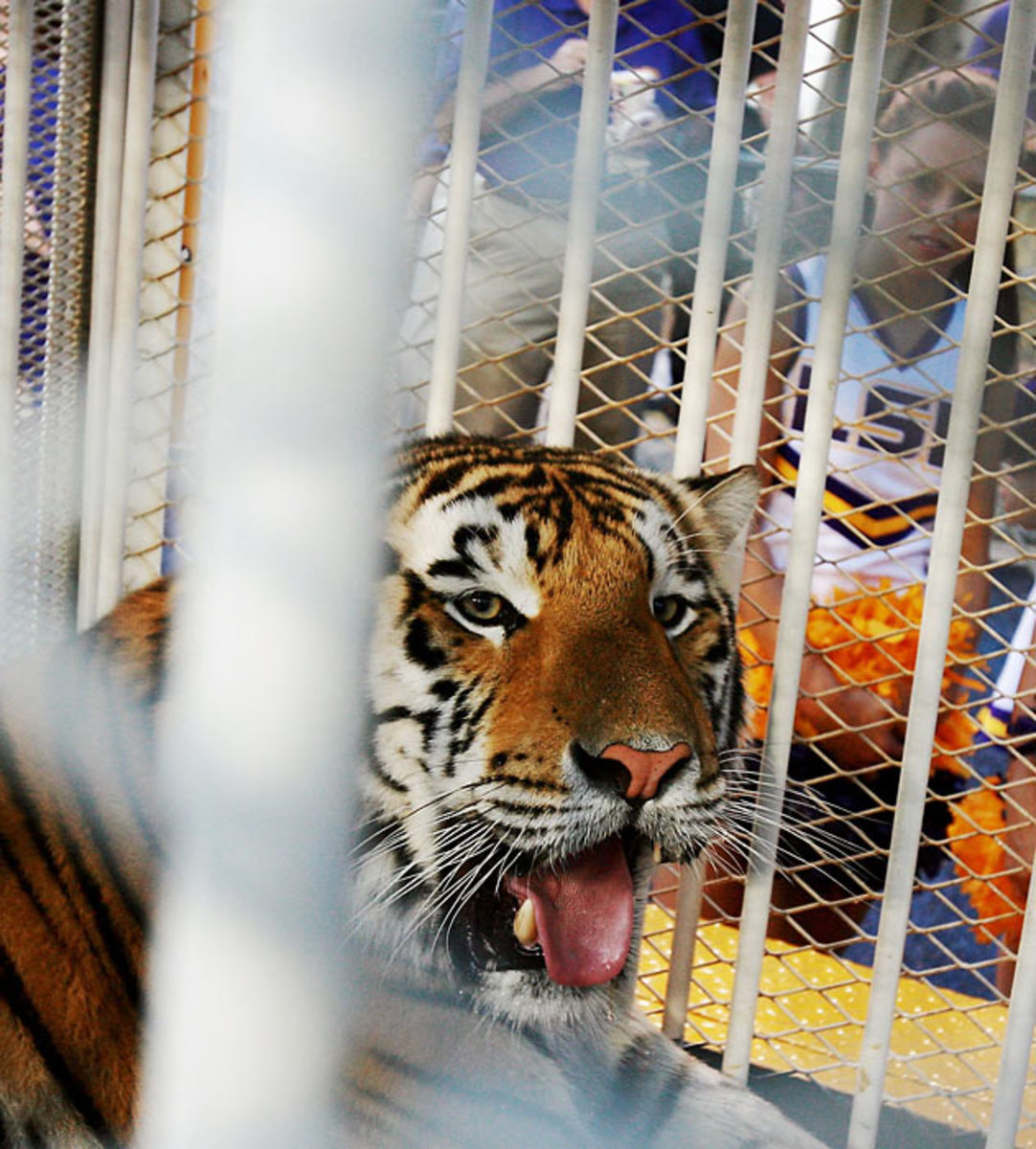 Mike VI