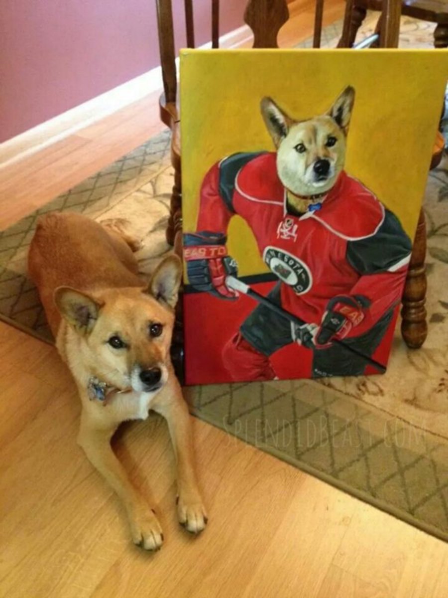 minnesota-wild-dog-painting-image.jpg