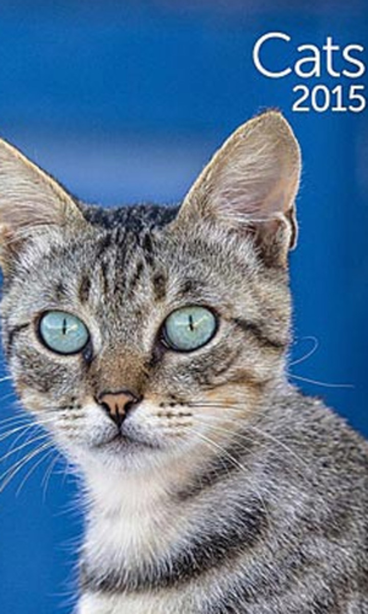 Image placeholder title