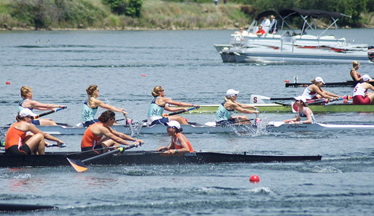 Jill Costello (right, in teal) coxes the Cal women's top varsity boat against Virginia (orange) and Stanford (red). 