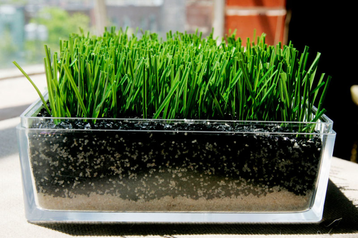 Field Turf and other next-gen surfaces employ rubber pellets, sand and other materials to soften the surface and make its response more grass-like. (Pascale Simard/Bloomberg News)