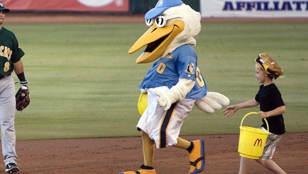 There's no word yet on whether Pelicans' mascot Splash, pictured, or the aptly named Deuce The Dog will undergo similar mid-game examinations